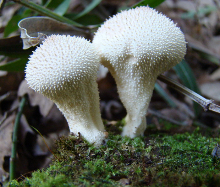 Escursione nel Parco nazionale del Circeo